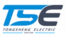 TSE